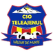 瓦伦蒙特 Logo