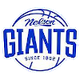 尼尔逊巨人 Logo